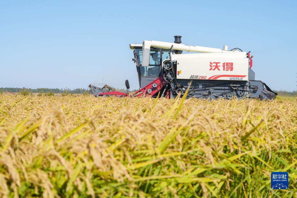 巴黎人用户登入